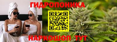 гидра Ставрополь