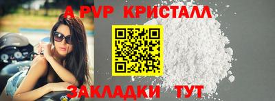 гидра Ставрополь